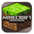 Minecraft thumb